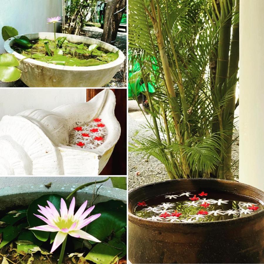 Rituale Guest House - Surf Yoga&Massage Mirissa Esterno foto